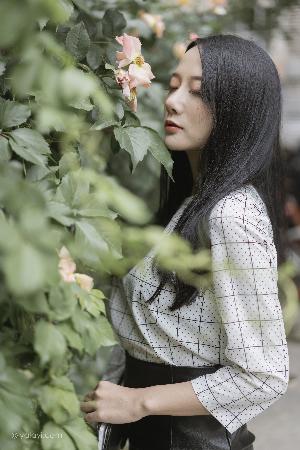 青青河边草免费高清电影